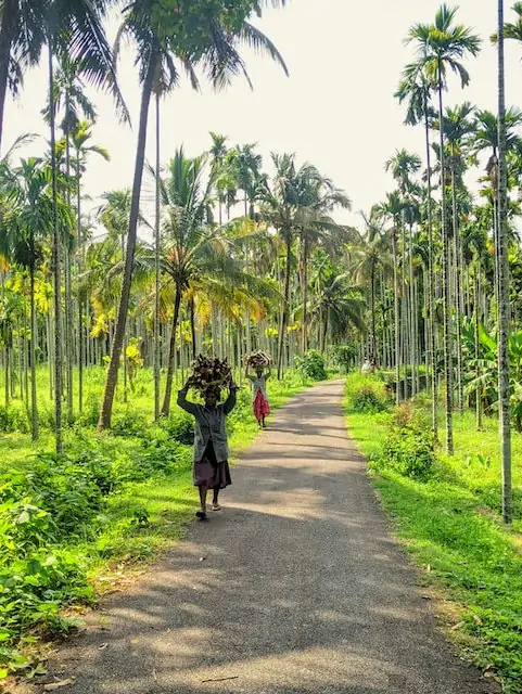 Pueblo del sur de la India