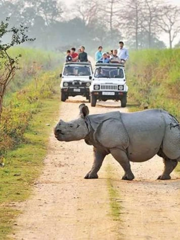 Parque Nacional Kaziranga, Assam