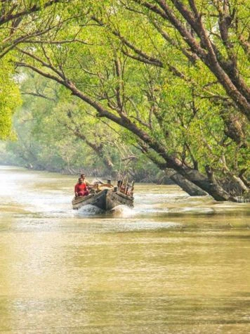 Parque Nacional Sundarbans, Bengala Occidental