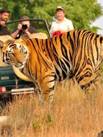 Parque Nacional Jim Corbett, Uttarakhand